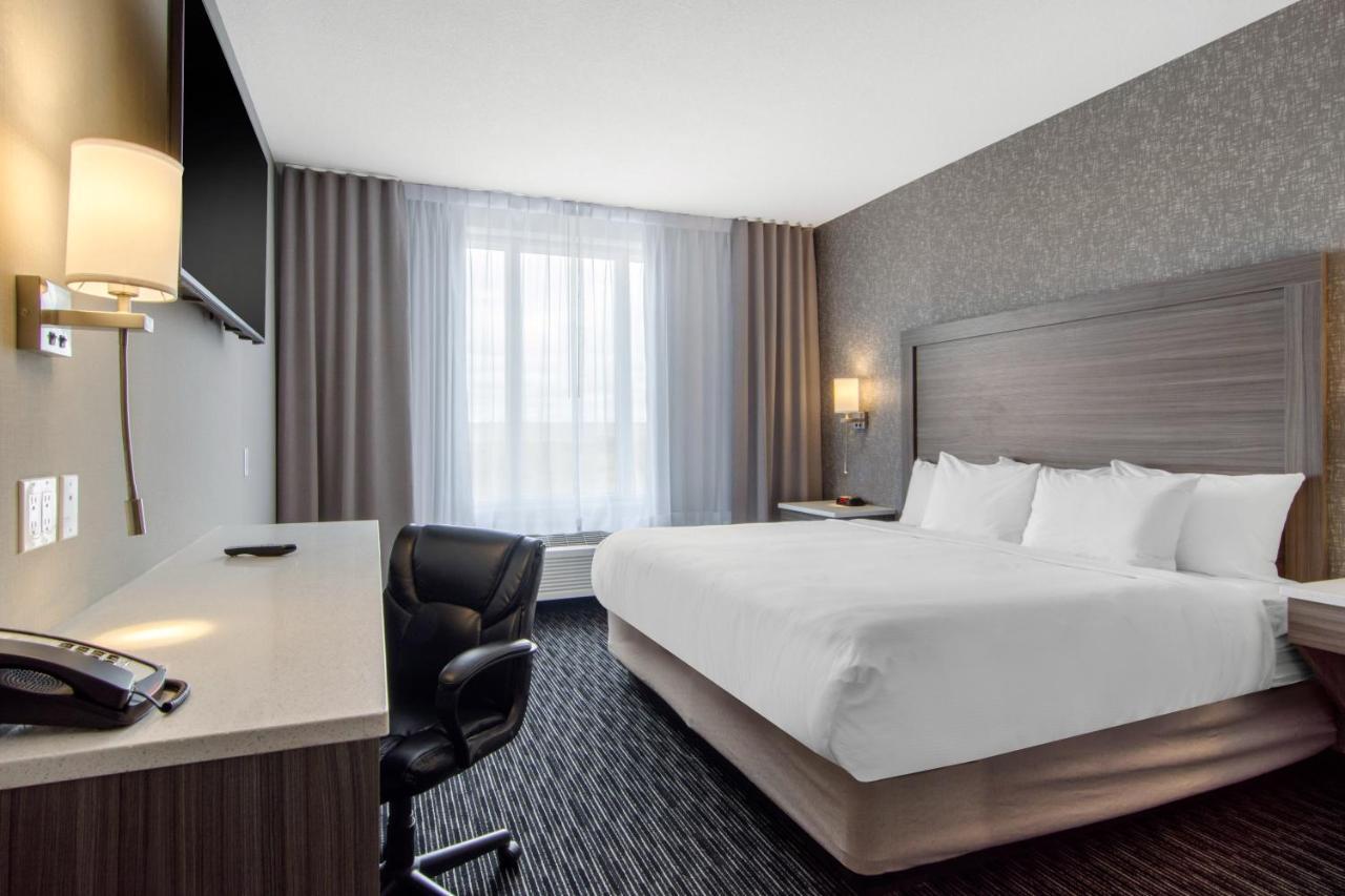 Comfort & Hotel
