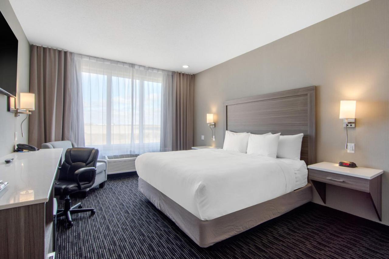 Comfort & Hotel